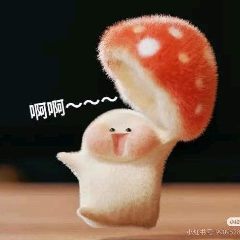 玲子不摆烂