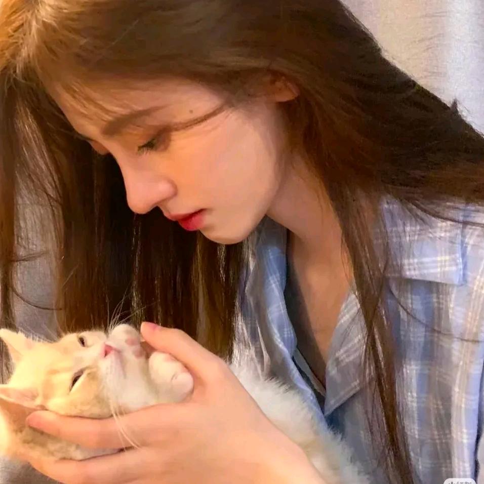 @༊ღ᭄罗 ꦿ꯭菇凉꧔ꦿএ᭄💕