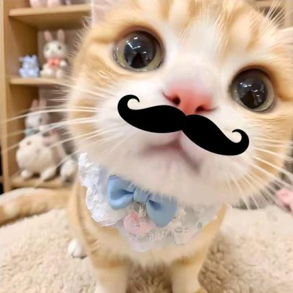 小猫鱼丝