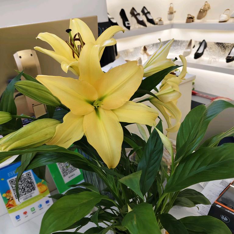 爱是永恒