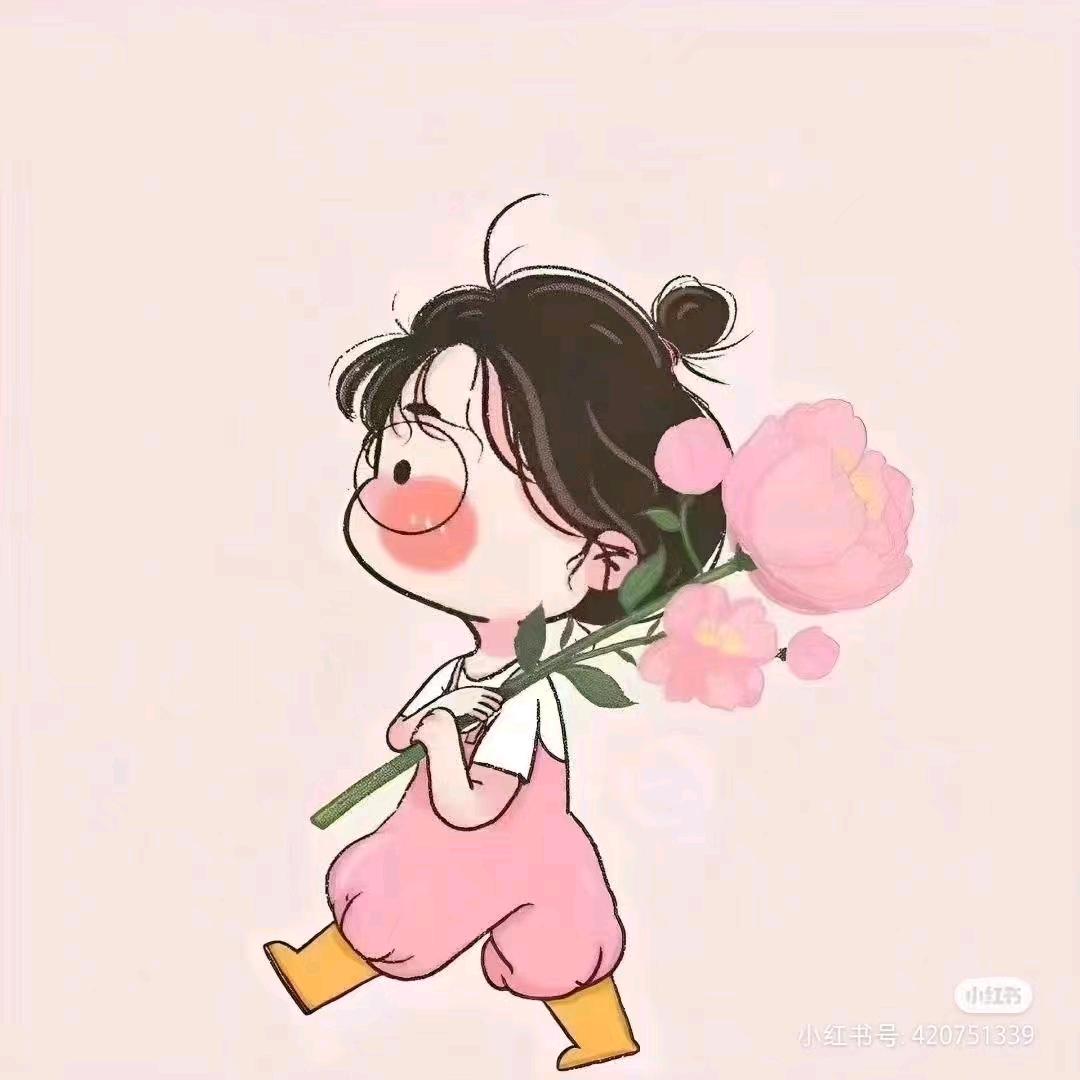 秋秋号