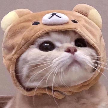 云朵棉花糖