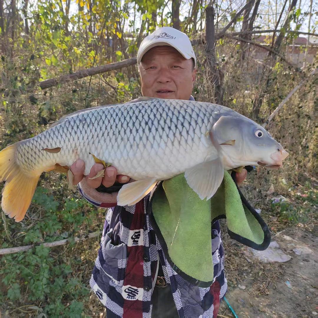 新乡市小朱庄垂钓园