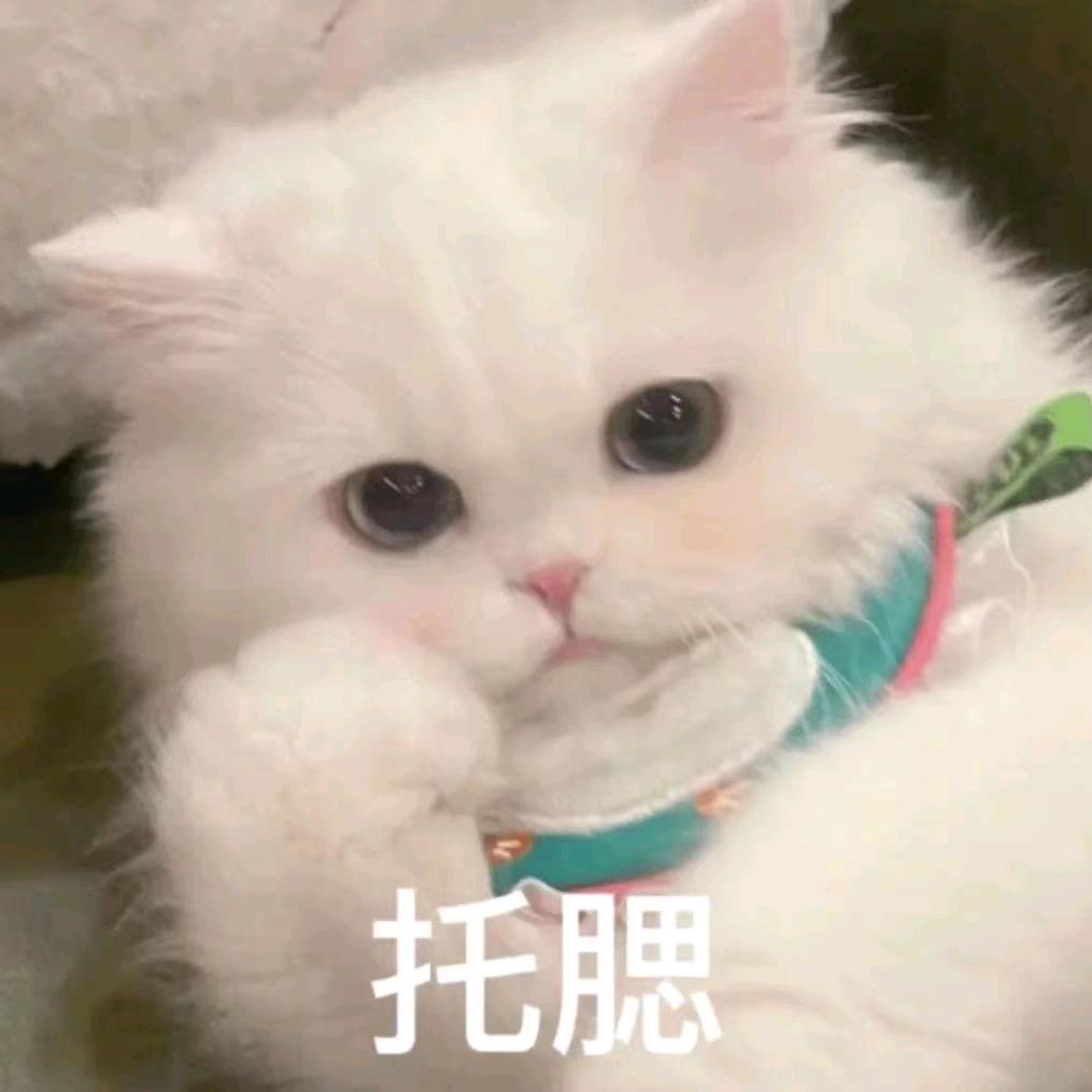 贝贝（见过邓紫棋版）