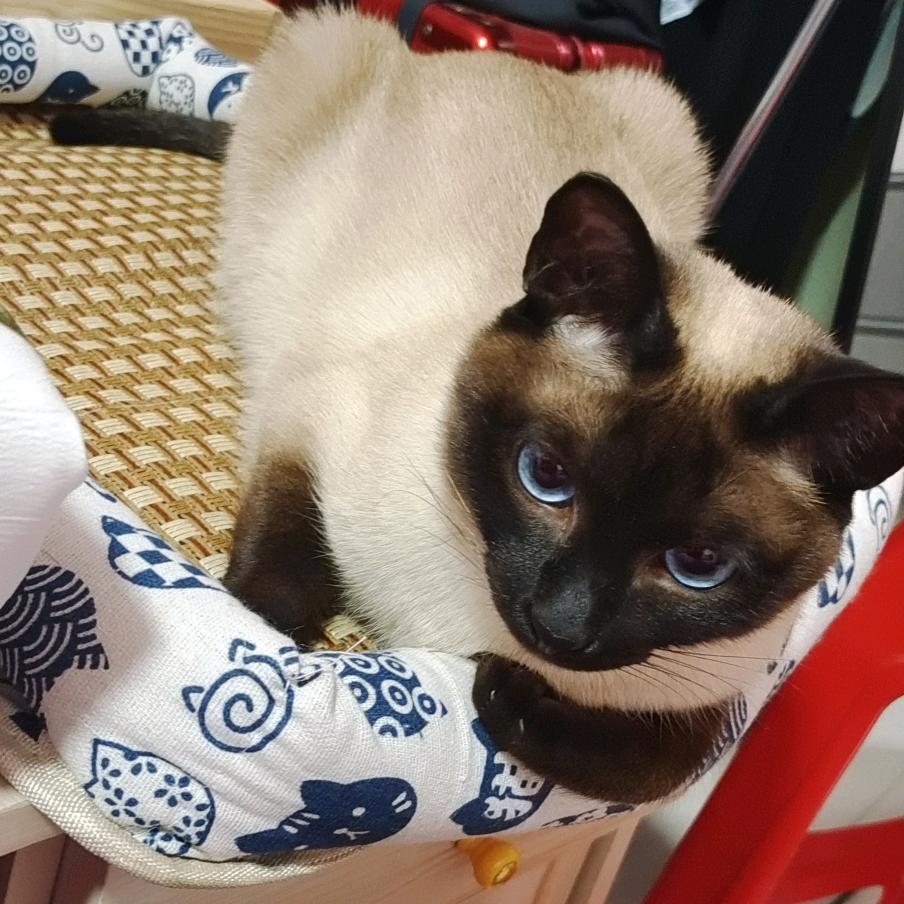 随意一点