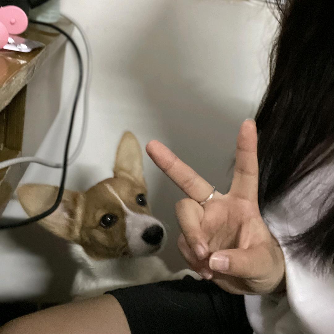 故友