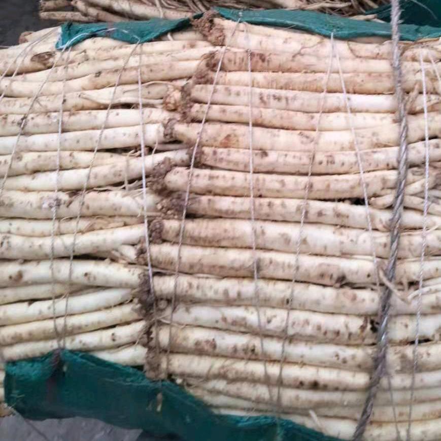 岷县小娟滋补养生店