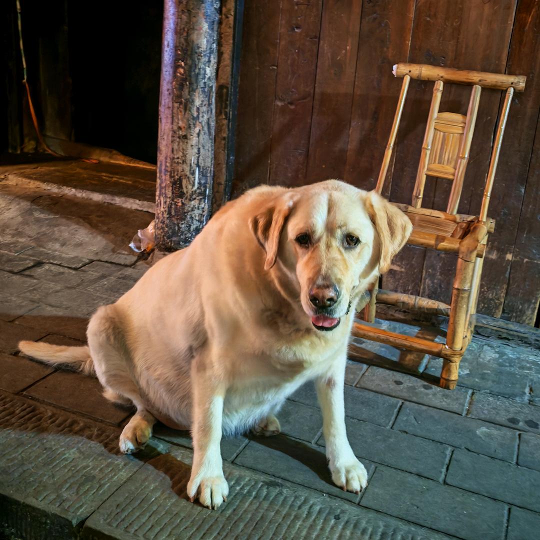 工作在上海生活在成都的妹儿