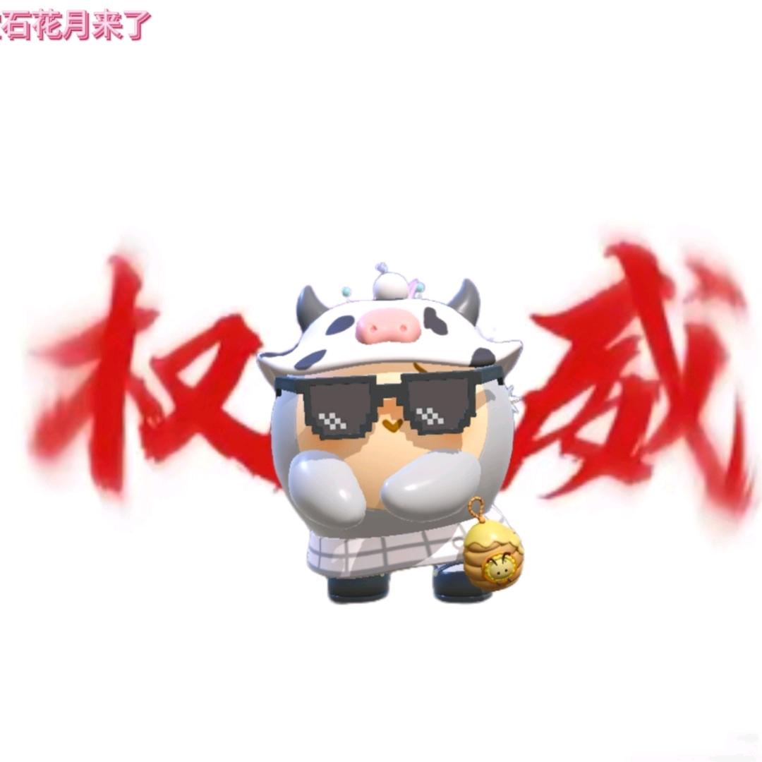 宝石花月来了