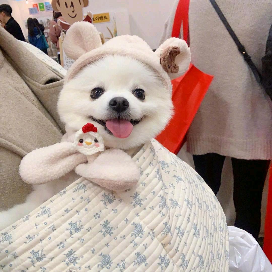 谦一