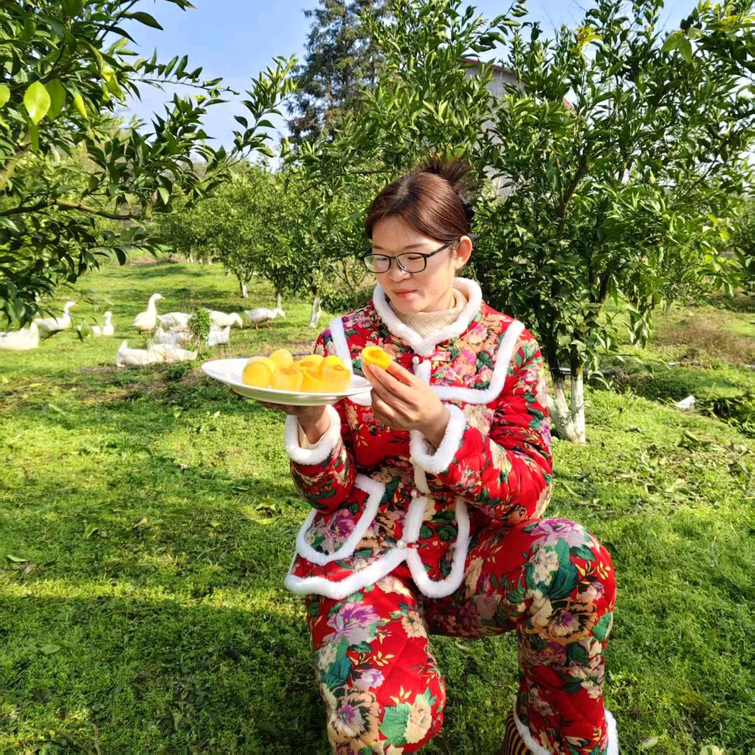 利发家庭（川乡嫂）