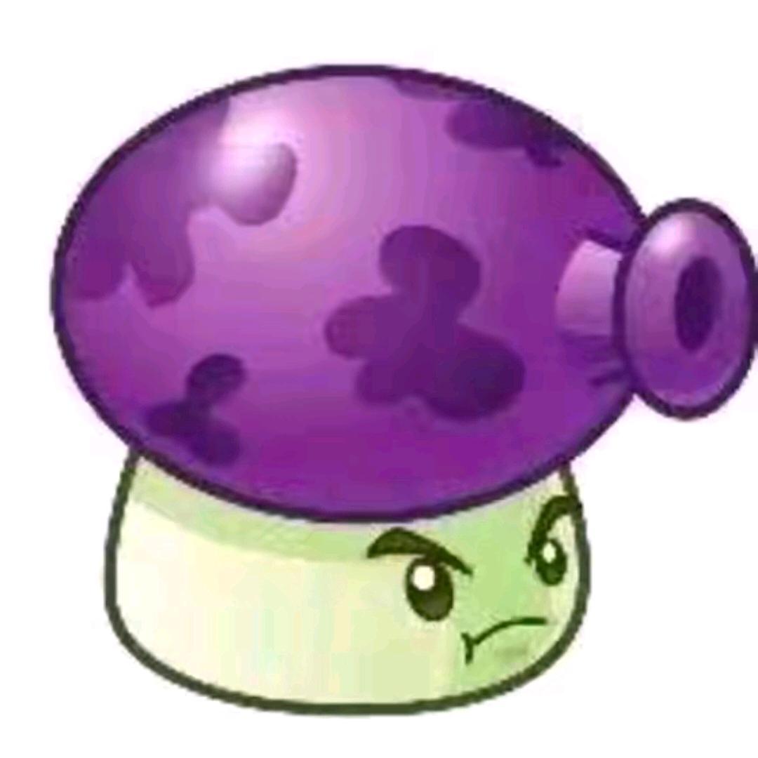 🟣 🟣 🟣 🟣 🟣 🟣 🟣