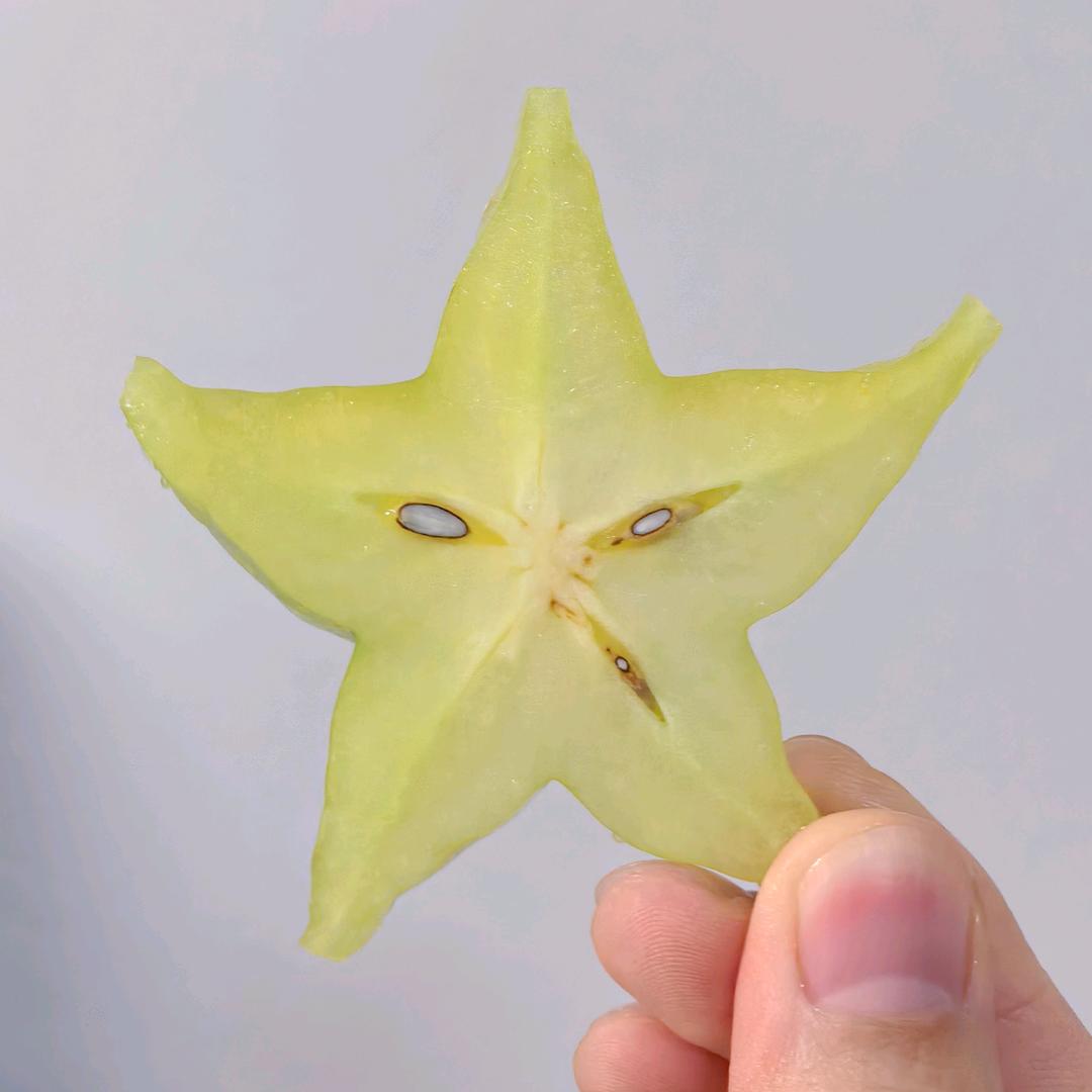 吃土豆长大的马铃薯🦩头像