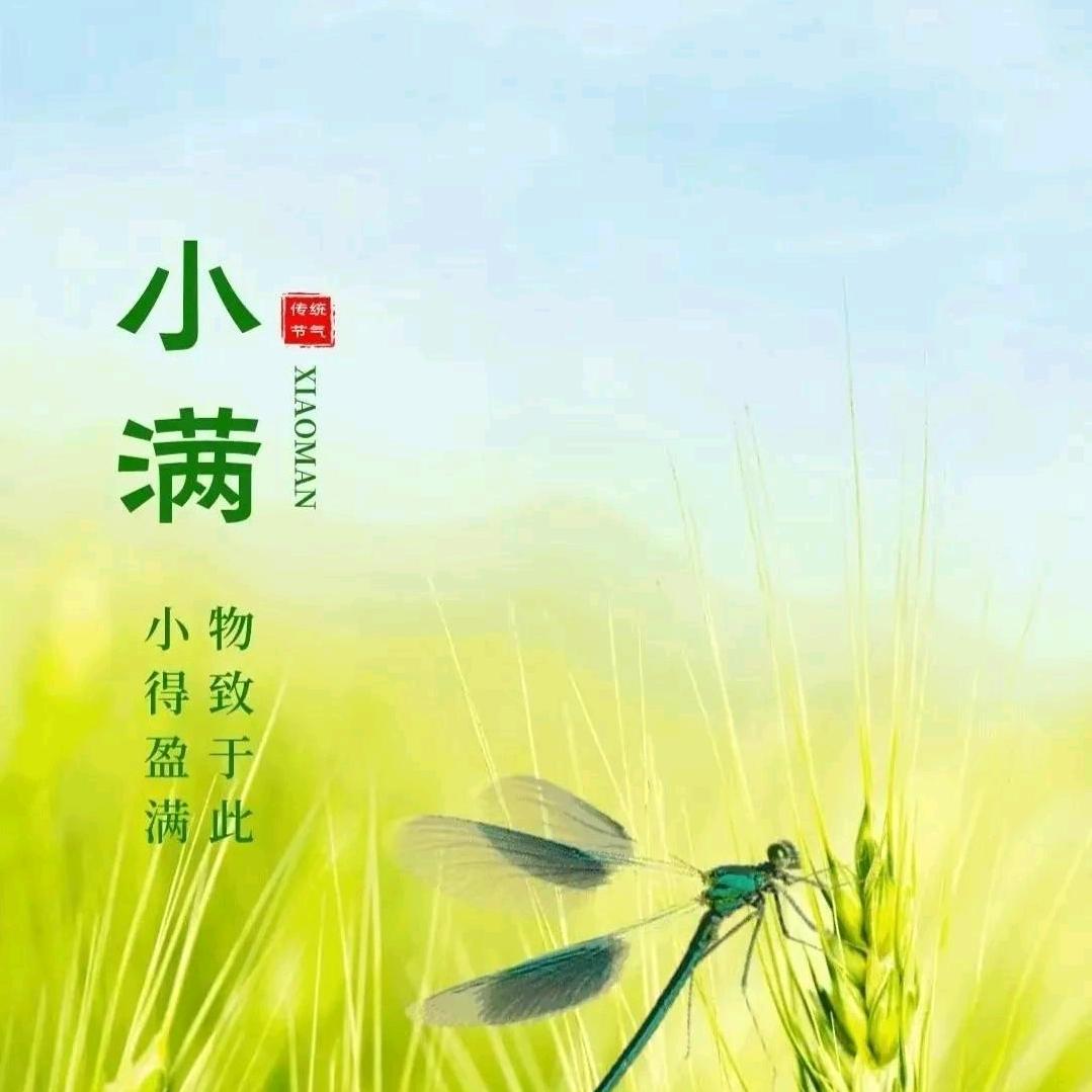 小满未满