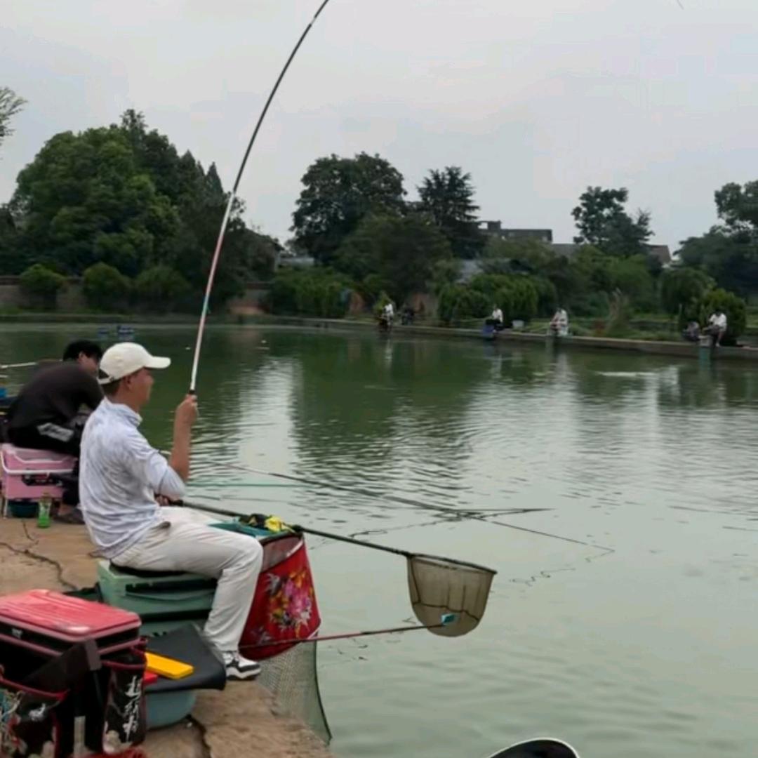 星辰钓鱼🎣
