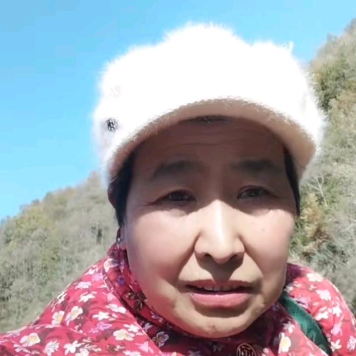 用户6087436213276