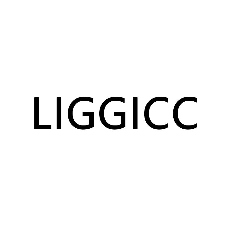 LIGGICC男装旗舰店
