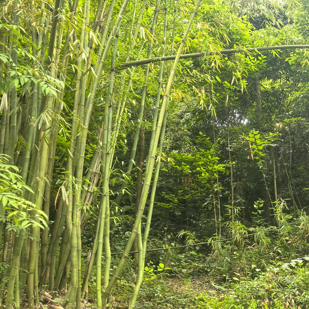 。。。。。。。。。。