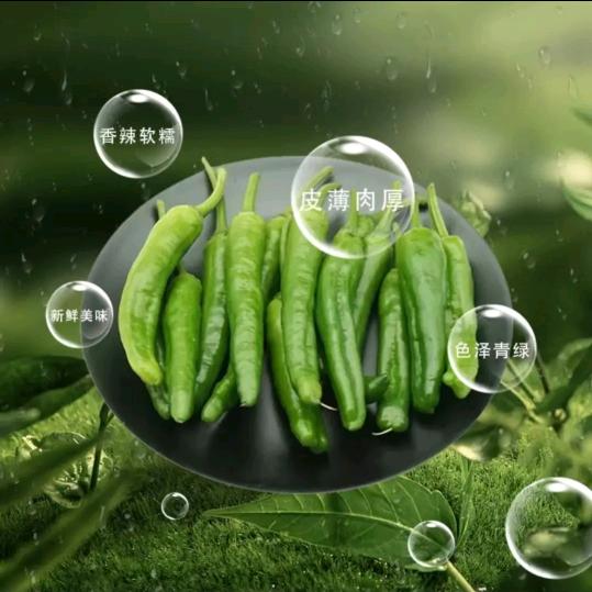 爨★家禧优选