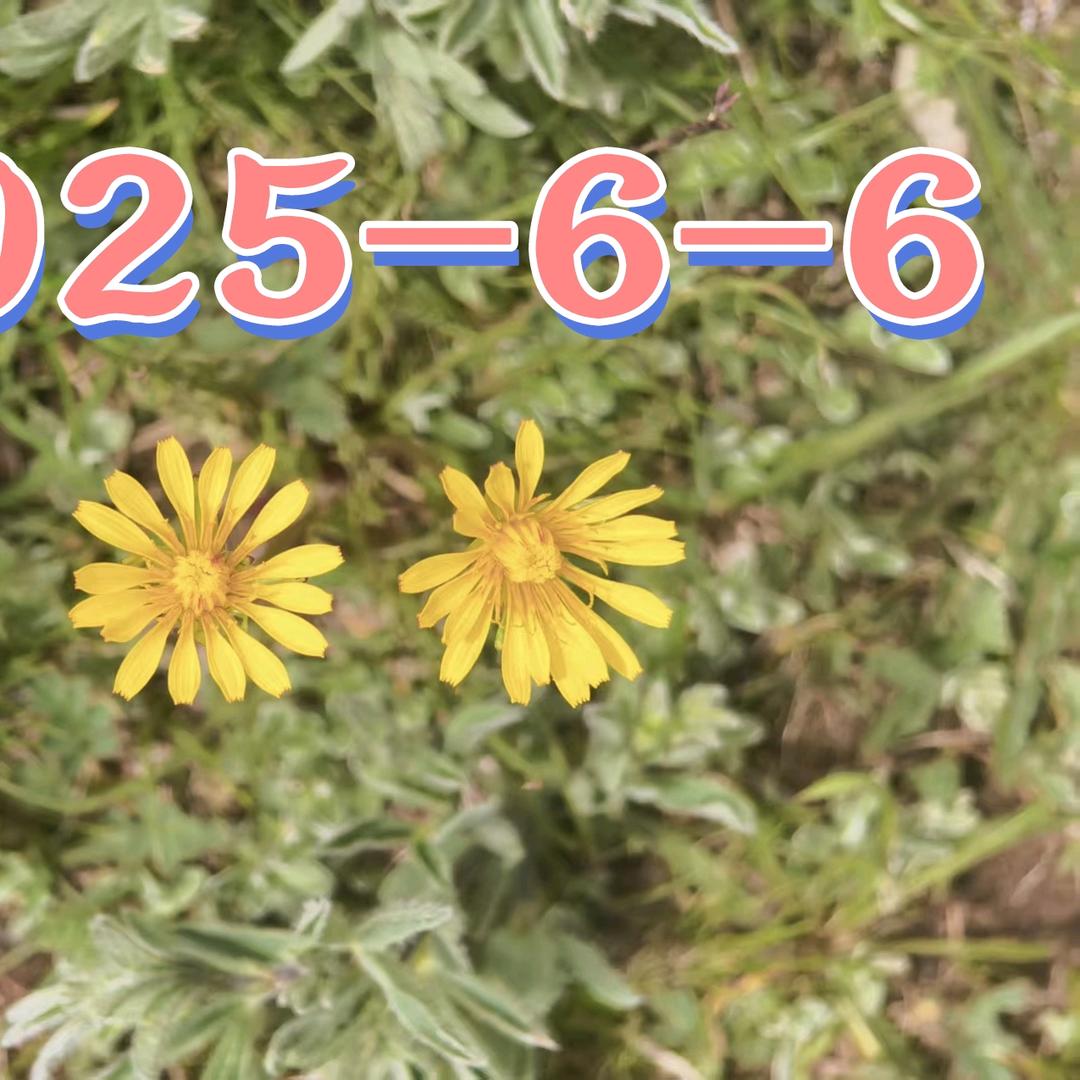 1376