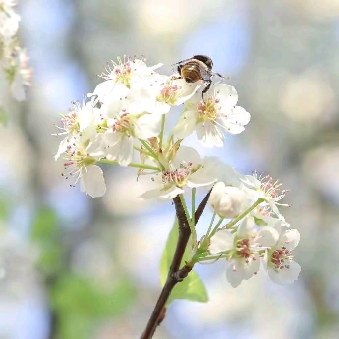 春风一路百花开
