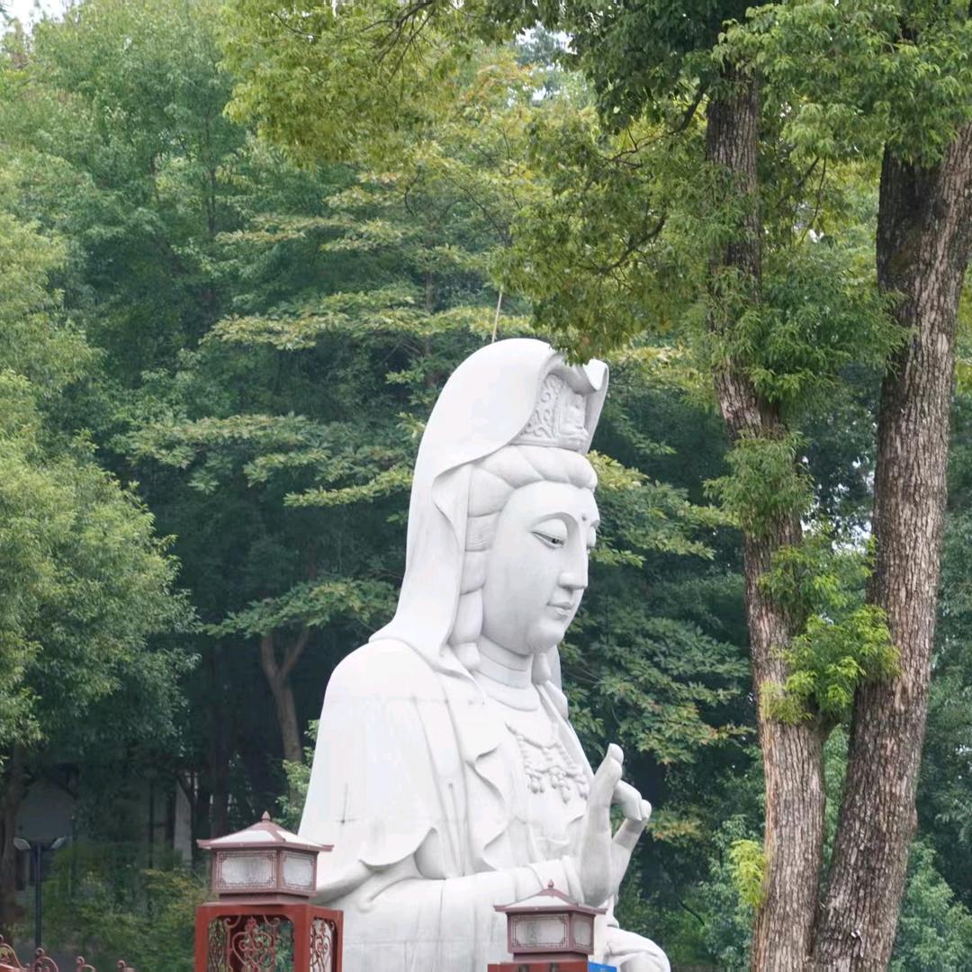 观音颂