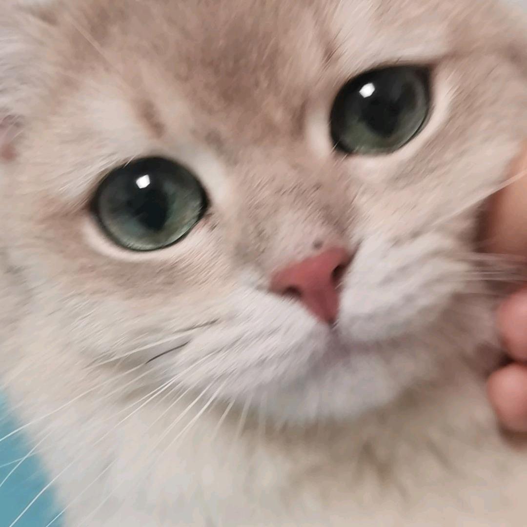 WY