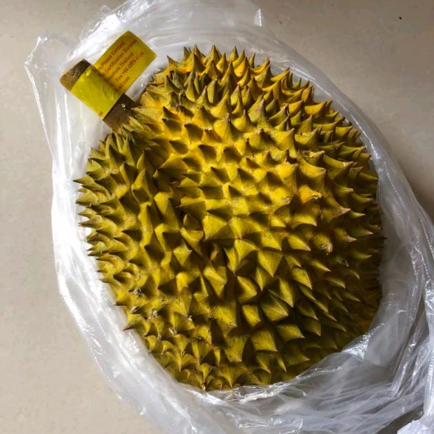 向死而生
