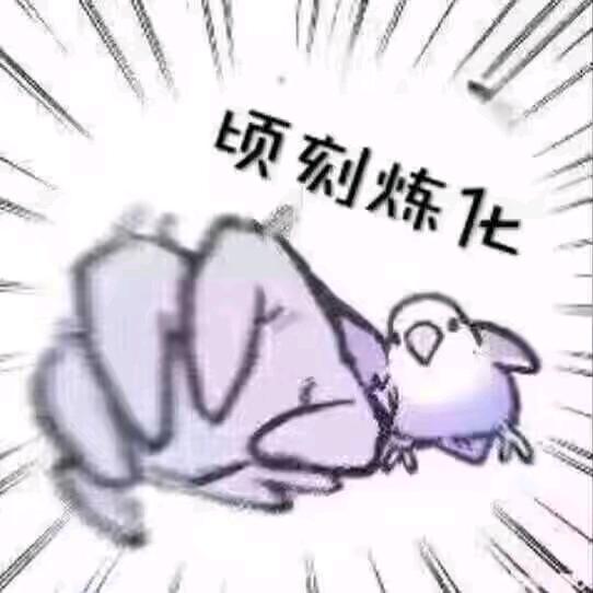 再会决意告白