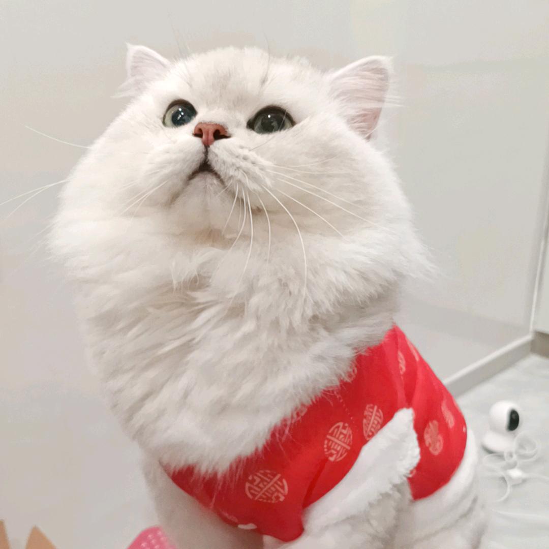 哈吉米想去看世界