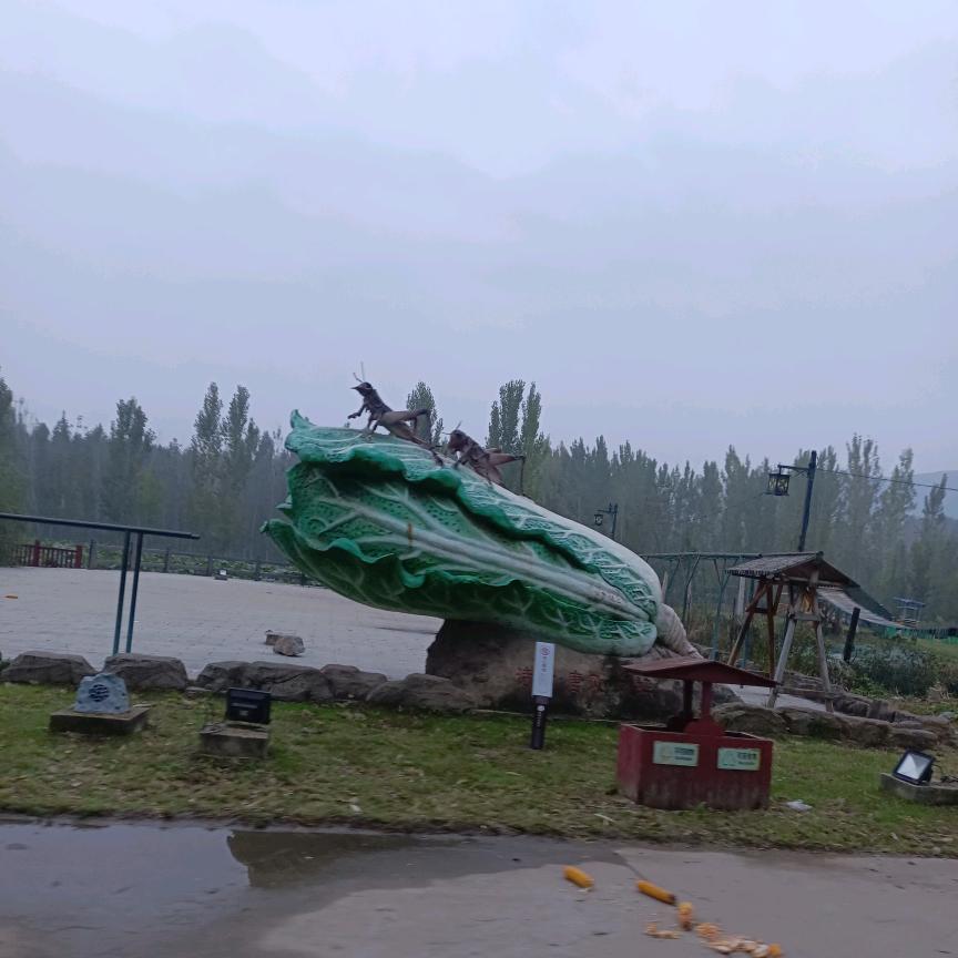 森林如海