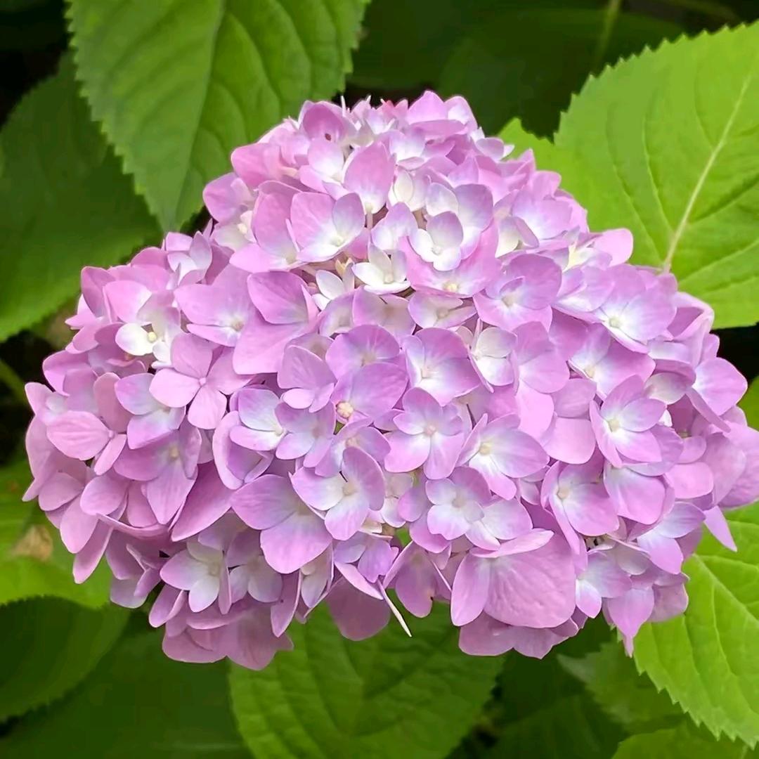 用户975932977