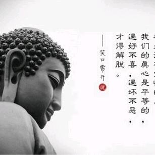 大波信息咨询工作室