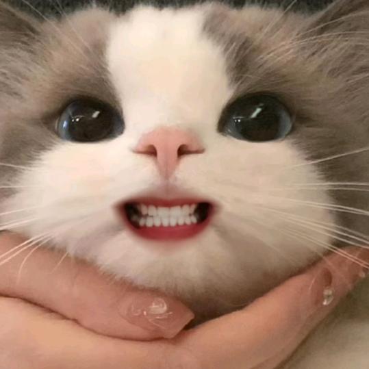 奶瓶子给你打掉