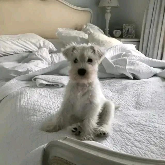 小熊📷