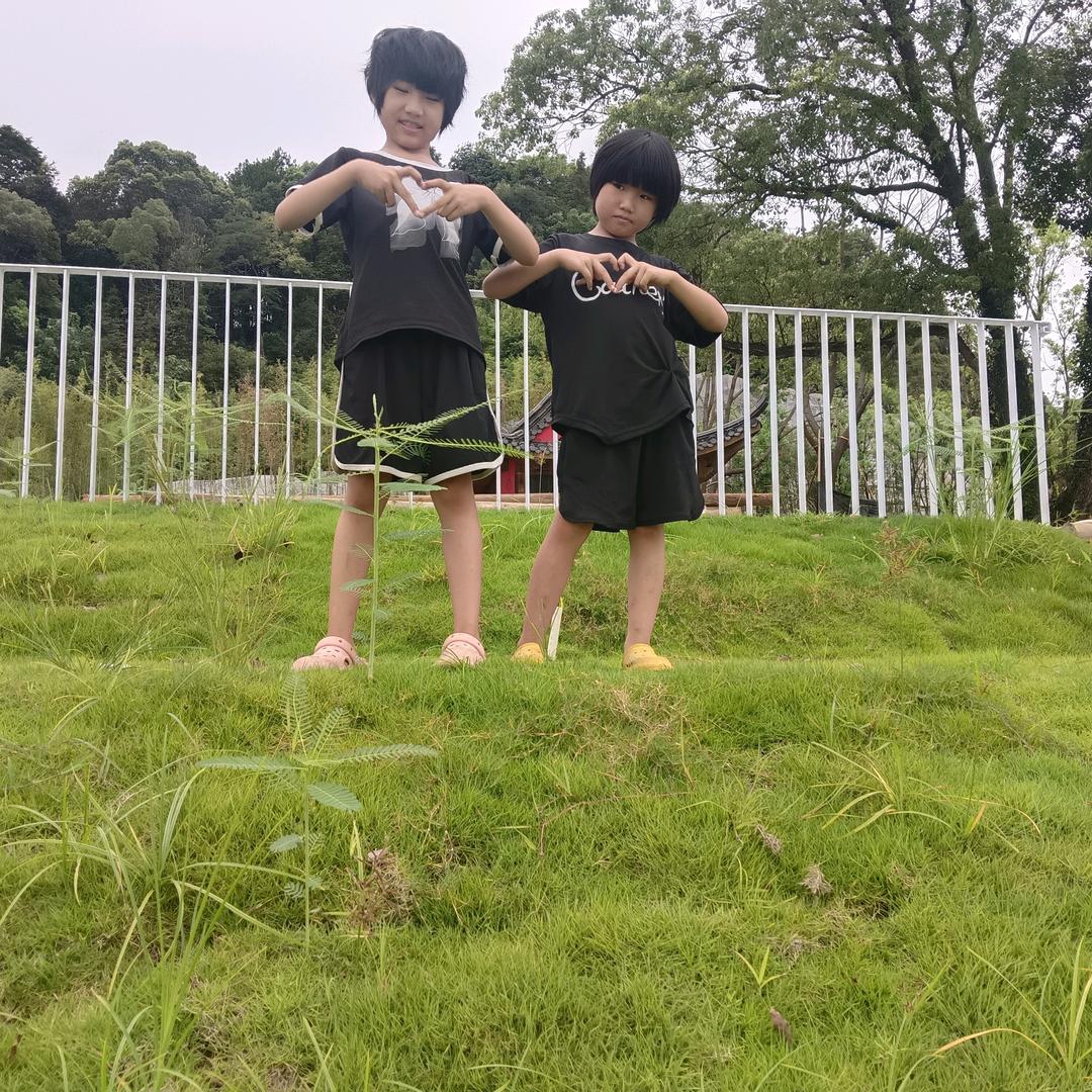 奏