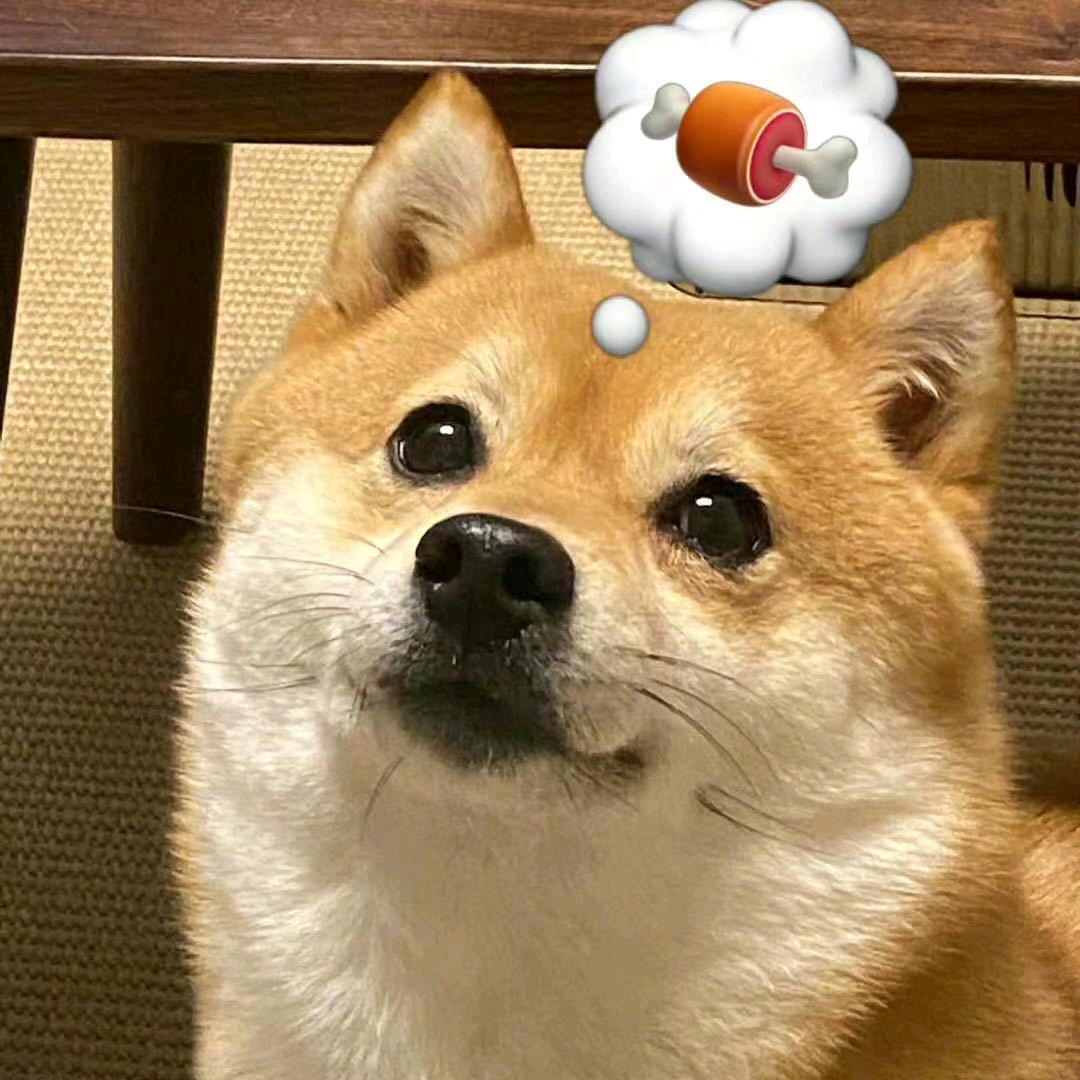 🍐雒哈哈🦄🦋