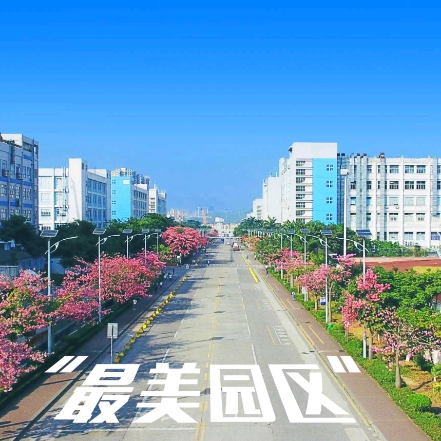 善解人意