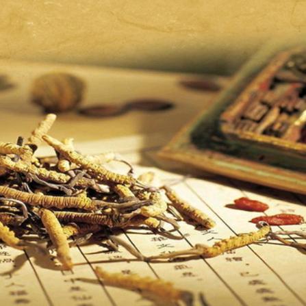 魏老师阳阳《2》