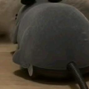 佐步贸易有限公司