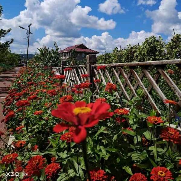 幸福像花儿一样🌸