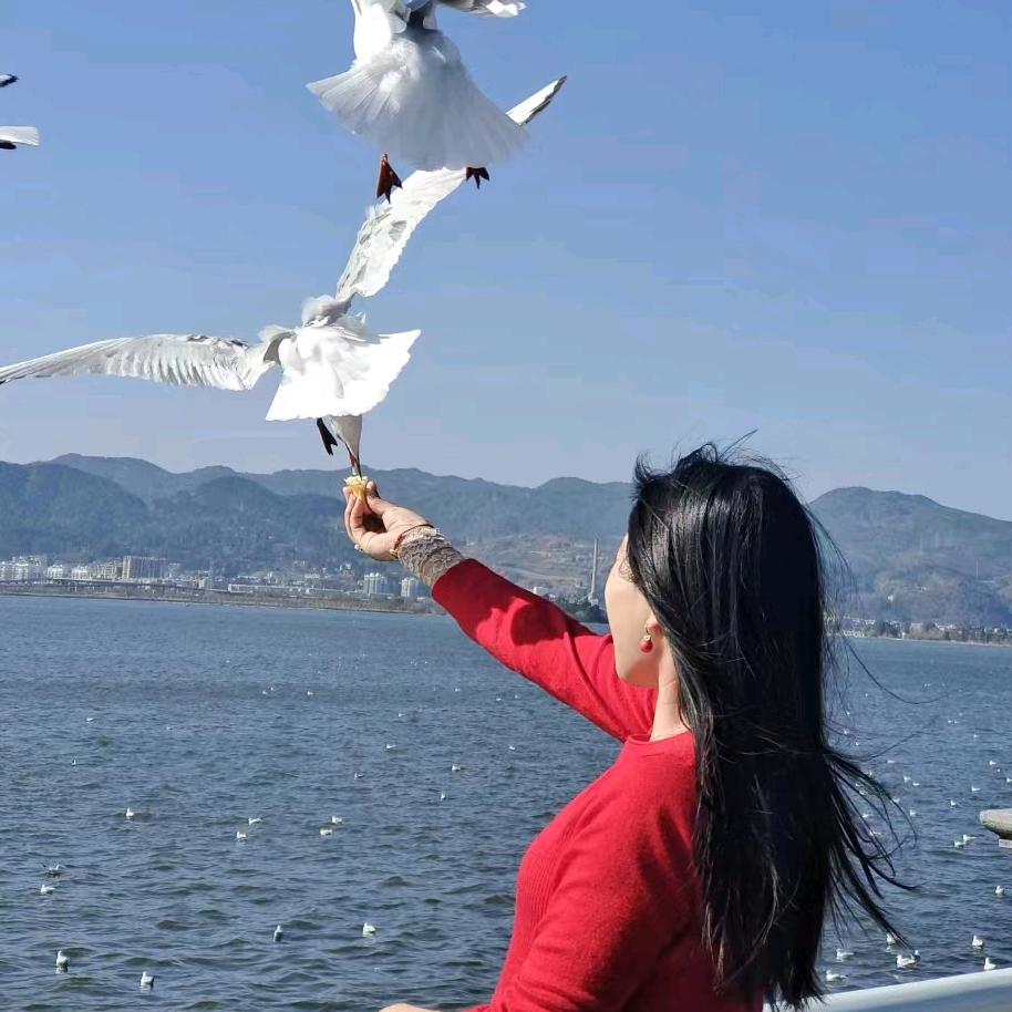 泓力（专用车）汽车叶子