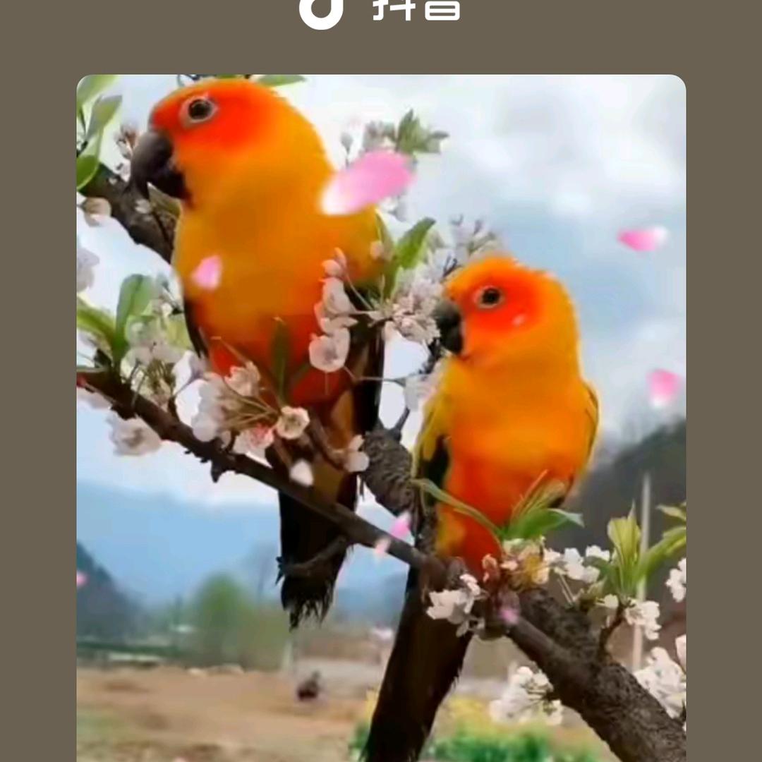山清水秀