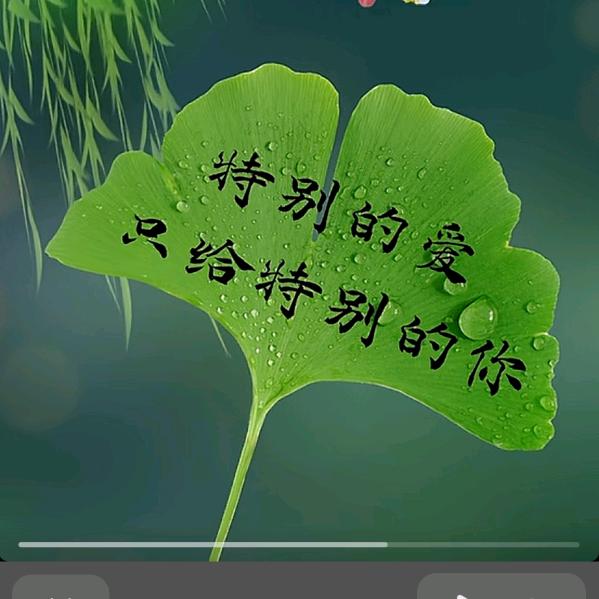 晓敬