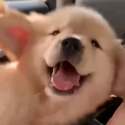 钱途无量😉头像