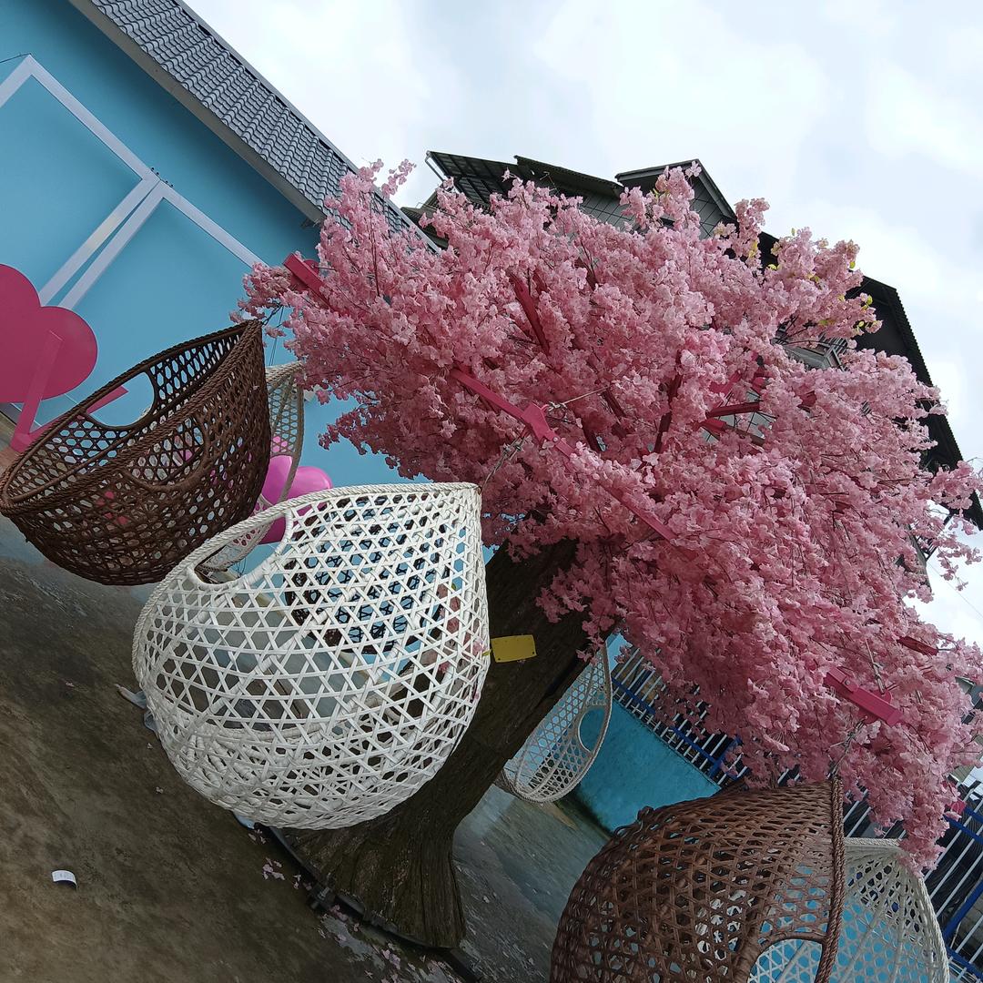 永遠猜不透你的心