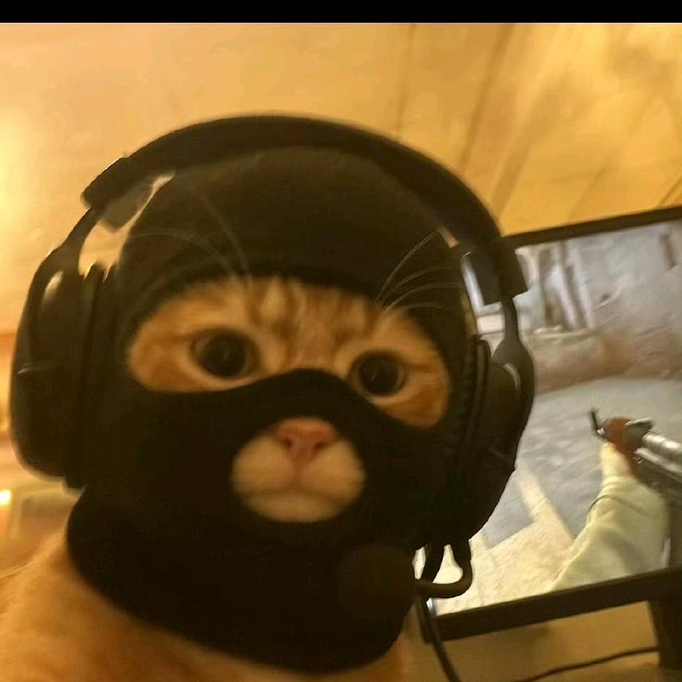 王哪跑