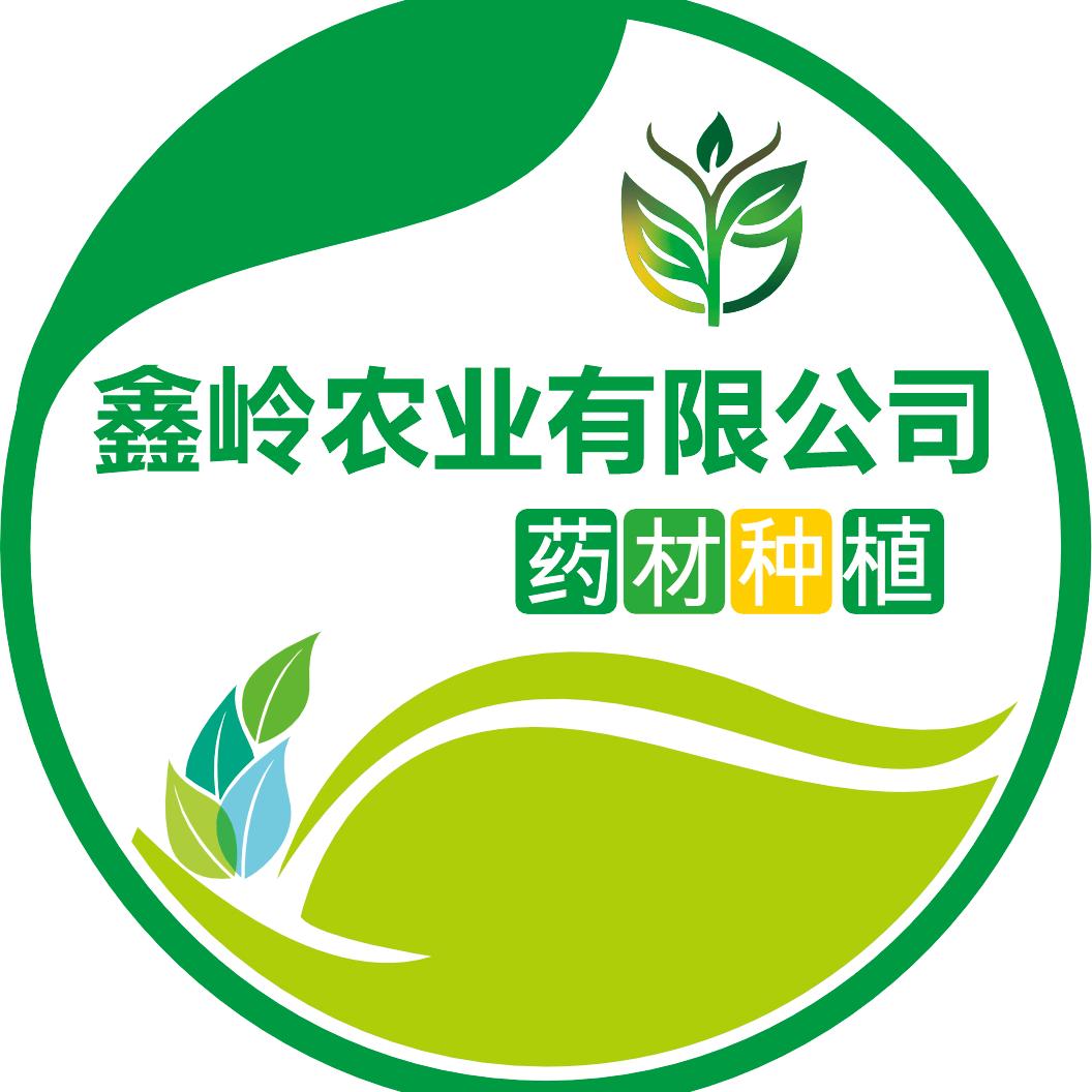 鑫岭农业张强（招团队售中药种苗种子）