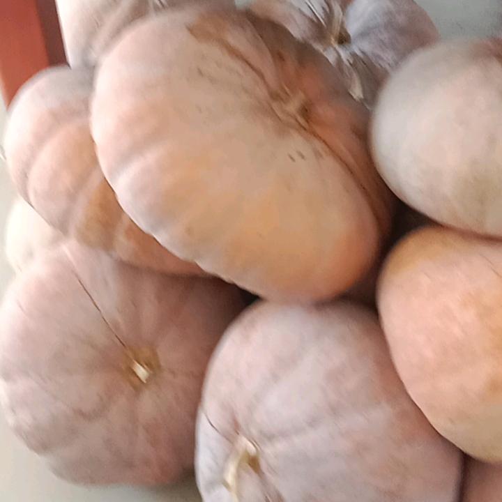 微笑依然