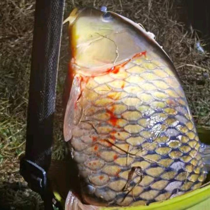 野钓🎣🐟乞丐